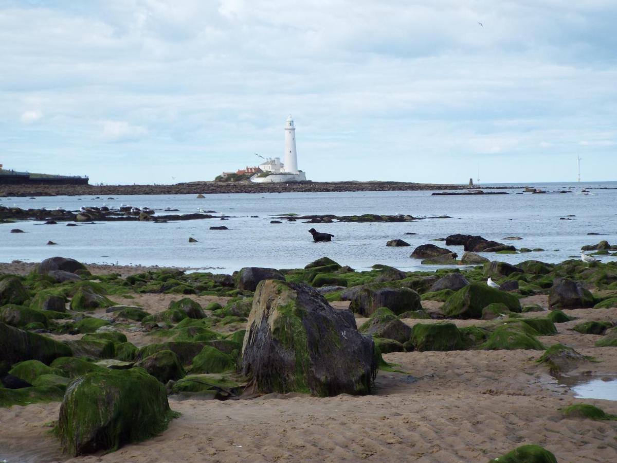 Boquhanran Caravan, Whitley Bay Hartley Exteriör bild